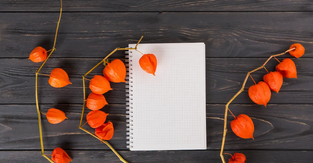 christian elf on the shelf ideas with notebook and orange flowers on dark wood table flat lay scene.